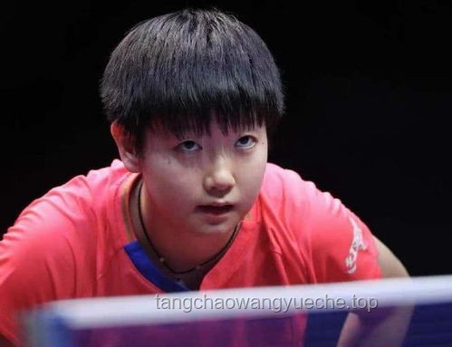 **孙颖莎哭了：背后的汗水、坚持与荣耀**